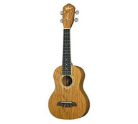 Washburn OU2