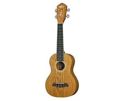 Washburn OU2