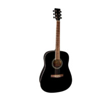 Акустична гітара VGS-Pure D-10 BK
