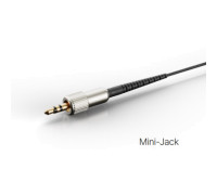 DPA microphones 2061-OL-C-F34