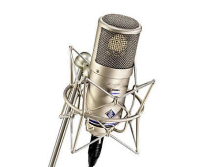 Neumann D-01 single mic