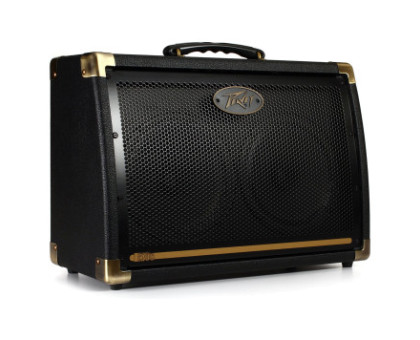 PEAVEY ECOUSTIC 208
