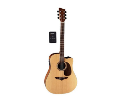 Акустична гітара VGS Europe V-12S CE Natural Satin