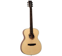 TANGLEWOOD TS3