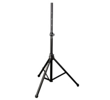SOUNDKING SB307B